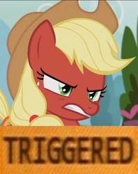 Size: 850x1075 | Tagged: safe, edit, edited screencap, screencap, applejack, g4, honest apple, season 7, angry, applejack's hat, blushing, braid, cowboy hat, cropped, female, hat, mare, meme, red face, solo, text, triggered