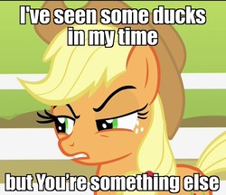 Size: 1250x1080 | Tagged: safe, edit, edited screencap, screencap, applejack, earth pony, pony, bats!, g4, disgusted, face, female, image macro, meme, op is a duck (reaction image), reaction image, solo, unamused