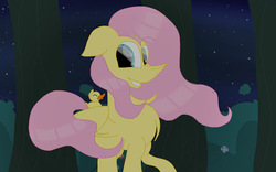 Size: 512x320 | Tagged: safe, artist:littlelynxs04, fluttershy, duck, pony, g4, female, solo