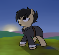 Size: 976x927 | Tagged: safe, artist:neuro, oc, oc only, oc:solemn rain, earth pony, pony, clothes, dawn, lidded eyes, solo