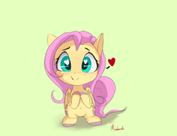 Size: 1400x1080 | Tagged: safe, artist:miokomata, fluttershy, pegasus, pony, g4, chibi, cute, cute little fangs, fangs, female, green background, heart, heart eyes, hnnng, looking at you, mare, shyabetes, signature, simple background, smiling, solo, wingding eyes