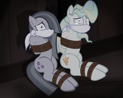 Size: 999x799 | Tagged: safe, alternate version, artist:radiantrealm, marble pie, vapor trail, earth pony, pegasus, pony, g4, bondage, cloth gag, crying, duo, female, gag, hair over one eye, help us, kidnapped, mare, rope, rope bondage, scared, show accurate, tied up