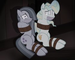 Size: 999x799 | Tagged: safe, alternate version, artist:radiantrealm, marble pie, vapor trail, earth pony, pegasus, pony, g4, bondage, crying, duct tape, duo, female, gag, hair over one eye, help us, kidnapped, mare, rope, rope bondage, scared, show accurate, tape gag, tears of fear, tied up