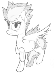 Size: 599x808 | Tagged: safe, artist:woonasart, spitfire, pony, g4, blushing, embarrassed, female, grayscale, monochrome, sketch, solo