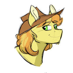 Size: 3000x3000 | Tagged: safe, artist:scarletskitty12, braeburn, earth pony, pony, g4, bust, cowboy hat, green eyes, hat, high res, male, simple background, smiling, solo, stallion, stetson, white background