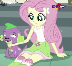 Size: 525x480 | Tagged: safe, screencap, fluttershy, spike, spike the regular dog, dog, equestria girls, equestria girls specials, g4, my little pony equestria girls: dance magic, chin scratch, clothes, cropped, cute, lidded eyes, paws, skirt, smiling, socks, spikelove, stairs, teletoon