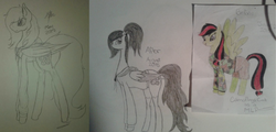 Size: 1024x493 | Tagged: safe, artist:anxiouslilnerd, oc, oc only, oc:camoflage cat, pegasus, pony, 2015, 2017, clothes, hoodie, old art, redraw, shorts, traditional art