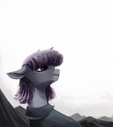 Size: 1000x1121 | Tagged: safe, artist:weird--fish, maud pie, earth pony, pony, g4, female, floppy ears, gray coat, mare, mountain, purple mane, solo