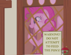 Size: 634x487 | Tagged: safe, edit, edited screencap, screencap, pinkie pie, pony, g4, honest apple, against glass, cropped, excited, female, glass, smiling, solo
