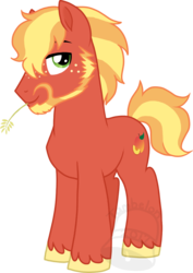 Size: 637x900 | Tagged: safe, artist:tambelon, oc, oc only, oc:peach fuzz, earth pony, pony, beard, facial hair, male, offspring, parent:big macintosh, parent:sugar belle, parents:sugarmac, simple background, solo, stallion, transparent background, watermark