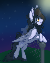 Size: 1024x1293 | Tagged: safe, artist:twisted-sketch, oc, oc only, pegasus, pony, fence, leaning, night, solo, stars, watermark