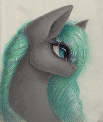 Size: 2377x2808 | Tagged: safe, artist:kimsteinandother, oc, oc only, oc:rose, earth pony, pony, bust, female, high res, mare, portrait, solo, traditional art