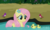 Size: 3244x1962 | Tagged: safe, artist:shutterflyeqd, fluttershy, bird, duck, duck pony, hybrid, pegasus, pony, fluttershy leans in, g4, my little pony: friendship is magic, behaving like a duck, cute, daaaaaaaaaaaw, duckling, female, flower, flower in hair, flutterduck, hnnng, mare, movie accurate, pegaduck, pond, pony hybrid, shyabetes, smiling, tree, water