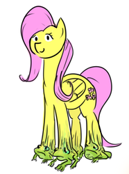 Size: 513x691 | Tagged: safe, artist:testostepone, fluttershy, frog, pegasus, pony, g4, body horror, colored, doodle, female, frog (hoof), mare, pun, simple background, solo, underhoof, visual pun, wat, white background