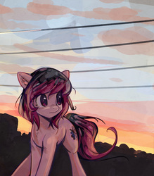 Size: 702x800 | Tagged: safe, artist:mirroredsea, oc, oc only, oc:share dast, earth pony, pony, cloud, evening, female, gift art, looking back, mare, silhouette, sky, solo, sunset, wires