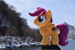 Size: 6000x4000 | Tagged: safe, artist:hystericalcub, scootaloo, pony, g4, absurd resolution, irl, photo, plushie, solo