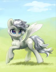 Size: 1652x2144 | Tagged: safe, artist:aphphphphp, oc, oc only, pegasus, pony, female, mare, solo, spread wings, unshorn fetlocks, wings