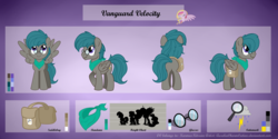 Size: 5400x2701 | Tagged: safe, artist:raspberrystudios, oc, oc only, oc:vanguard velocity, pegasus, pony, bandana, commission, cutie mark, front view, glasses, height difference, high res, male, poses, profile, reference sheet, saddle bag, solo, stallion