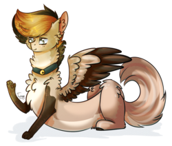 Size: 905x767 | Tagged: safe, artist:twinkepaint, oc, oc only, oc:mio, draconequus, pony, bell, bell collar, collar, male, simple background, solo, transparent background