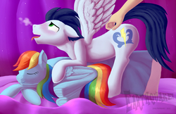 Size: 1493x966 | Tagged: safe, artist:earthquake87, rainbow dash, soarin', pony, g4, ahegao, anatomically incorrect, back scratching, behaving like a dog, blanket, blushing, curtains, cute, ear fluff, hand, huff, incorrect leg anatomy, misleading thumbnail, not porn, open mouth, pillow, scratching, sleeping, spread wings, tongue out, wings