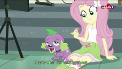 Size: 1600x908 | Tagged: safe, screencap, fluttershy, spike, spike the regular dog, dog, equestria daily, equestria girls, equestria girls specials, g4, my little pony equestria girls: dance magic, clothes, lidded eyes, out of context, out of context quote, skirt, socks, stairs, subtitles, teletoon, wat