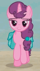 Size: 360x640 | Tagged: safe, screencap, sugar belle, pony, g4, hard to say anything, animated, cropped, cute, female, gif, it's coming right at us, looking at you, saddle bag, solo, sugarbetes, walk cycle, walking