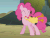 Size: 910x690 | Tagged: safe, screencap, pinkie pie, earth pony, pony, dragonshy, g4, season 1, animated, cute, diapinkes, eyes closed, female, gif, mare, mouth hold, playing, rubber chicken, smiling, solo
