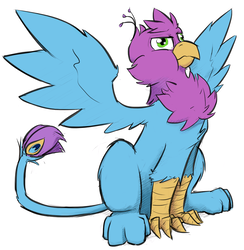 Size: 909x931 | Tagged: safe, artist:captainhoers, artist:tinibirb, color edit, edit, oc, oc only, oc:gyro feather, oc:gyro tech, griffon, behaving like a bird, birds doing bird things, cheek fluff, chest fluff, colored, griffonized, griffons doing bird things, leg fluff, majestic, puffy cheeks, simple background, solo, species swap, spread wings, white background, wings