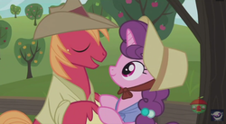 Size: 995x550 | Tagged: safe, screencap, big macintosh, sugar belle, earth pony, pony, g4, hard to say anything, cowboy hat, female, happy, hat, male, mare, ship:sugarmac, shipping, stallion, straight