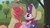 Size: 995x550 | Tagged: safe, screencap, big macintosh, sugar belle, earth pony, pony, g4, hard to say anything, my little pony: friendship is magic, cowboy hat, female, happy, hat, male, mare, ship:sugarmac, shipping, stallion, straight