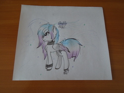 Size: 4608x3456 | Tagged: safe, artist:emilyclise, oc, oc only, pony, high res, solo, traditional art