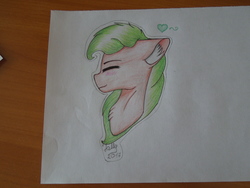 Size: 4608x3456 | Tagged: safe, artist:emilyclise, oc, oc only, pony, bust, high res, photo, solo, traditional art