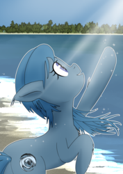 Size: 2894x4093 | Tagged: safe, artist:yinglung, oc, oc only, oc:briny gust, earth pony, pony, beach, crepuscular rays, high res, pointing, raised leg, seashore, smiling, solo, tree