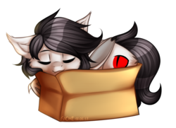 Size: 1857x1344 | Tagged: safe, artist:gicme, oc, oc only, oc:thunder wave, bat pony, pony, vampony, bat pony oc, box, cute, eyes closed, pony in a box, simple background, sleeping, solo, transparent background, ych result