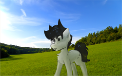 Size: 1207x755 | Tagged: safe, artist:marsminer, oc, oc only, oc:circut fryer, pony, grass, irl, photo, solo