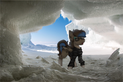 Size: 1070x714 | Tagged: safe, artist:marsminer, oc, oc only, oc:playthrough, pony, ice, irl, photo, snow, solo, winter