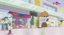 Size: 1136x638 | Tagged: safe, screencap, curly winds, lyra heartstrings, scribble dee, some blue guy, wiz kid, equestria girls, equestria girls specials, g4, my little pony equestria girls: dance magic, background human, book, boots, canterlot mall, clothes, converse, female, glasses, haberdashery, male, mall, shoes, shorts, skirt, sneakers, socks, teletoon, television