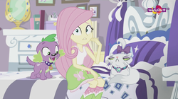 Size: 1136x638 | Tagged: safe, screencap, fluttershy, opalescence, spike, spike the regular dog, dog, equestria girls, equestria girls specials, g4, my little pony equestria girls: dance magic, bed, bedroom, boots, clothes, female, happy, looking at you, not impressed, paws, rarity's bedroom (equestria girls), shoes, skirt, socks, teletoon, unamused, worried