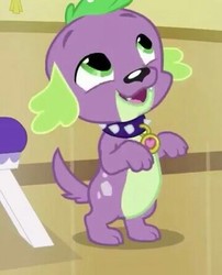 Size: 360x446 | Tagged: safe, screencap, spike, spike the regular dog, dog, pony, dance magic, equestria girls, equestria girls specials, g4, bipedal, cropped, male, paws, puppy, smiling, solo