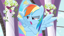 Size: 500x281 | Tagged: safe, screencap, rainbow dash, pony, g4, princess twilight sparkle (episode), animated, canterlot, canterlot castle, female, flower, flying, folded forelegs, gif, lighting, solo, stained glass, talking