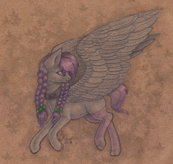 Size: 2353x2241 | Tagged: safe, artist:kimsteinandother, oc, oc only, pegasus, pony, braid, collar, female, high res, mare, solo, spread wings, traditional art, wings