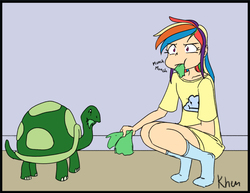 Size: 792x613 | Tagged: safe, artist:kprovido, rainbow dash, tank, human, tortoise, g4, clothes, eating, female, food, herbivore, humanized, lettuce, shirt, socks