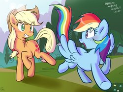 Size: 1024x768 | Tagged: safe, artist:haden-2375, applejack, rainbow dash, pegasus, pony, g4, duo, duo female, female, hat, korean, mare, open mouth, smiling