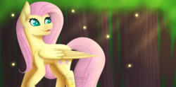 Size: 1024x505 | Tagged: safe, artist:chaostrical, fluttershy, firefly (insect), pony, g4, crepuscular rays, female, forest, lineless, solo