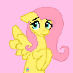 Size: 768x768 | Tagged: safe, artist:indie-cakes, fluttershy, pony, g4, bust, cute, female, floppy ears, hooves to the chest, looking at you, pink background, pixel art, portrait, simple background, solo, spread wings, wings