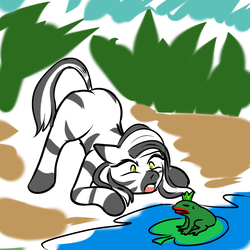 Size: 1000x1000 | Tagged: safe, artist:b-i-r, oc, oc only, oc:ceres, frog, zebra, ass up, female, lilypad, mare, water, yellow eyes