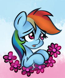 Size: 802x958 | Tagged: safe, anonymous artist, rainbow dash, pony, g4, female, flower, sad, solo, tongue out