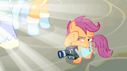 Size: 902x508 | Tagged: safe, screencap, bow hothoof, scootaloo, windy whistles, pegasus, pony, g4, parental glideance, animated, camera, crepuscular rays, female, filly, gif, male, rainbow dash's parents, saddle bag, ship:windyhoof