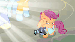 Size: 902x508 | Tagged: safe, screencap, bow hothoof, scootaloo, windy whistles, pegasus, pony, g4, parental glideance, animated, camera, credit joke, female, filly, foal, gif, male, mare, out of context, rainbow dash's parents, ship:windyhoof, stallion, trio