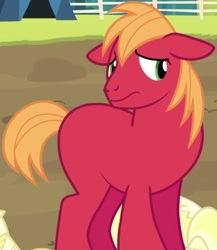 Size: 546x630 | Tagged: safe, edit, edited screencap, screencap, big macintosh, earth pony, pony, brotherhooves social, g4, accessory-less edit, cropped, cute, floppy ears, macabetes, male, missing accessory, missing cutie mark, missing freckles, nervous, red, solo, stallion